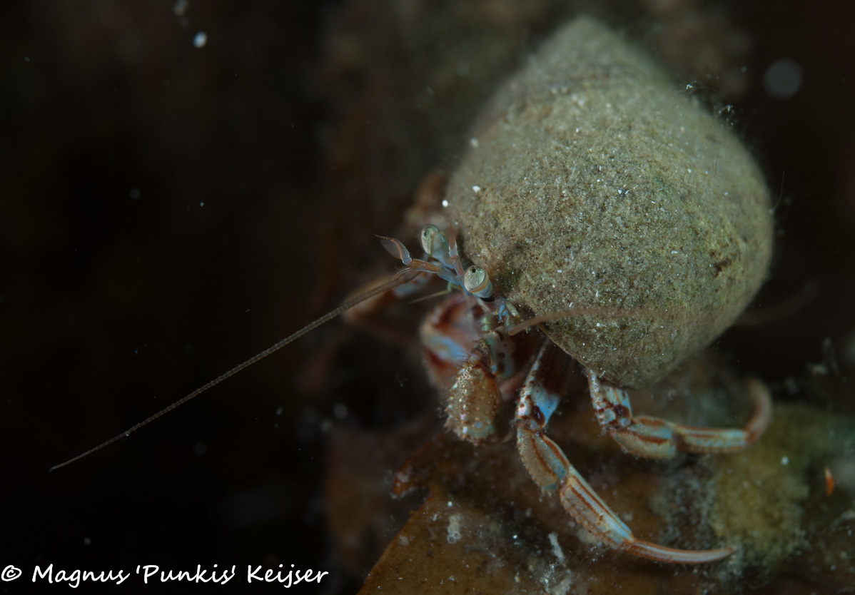 19 april 2019