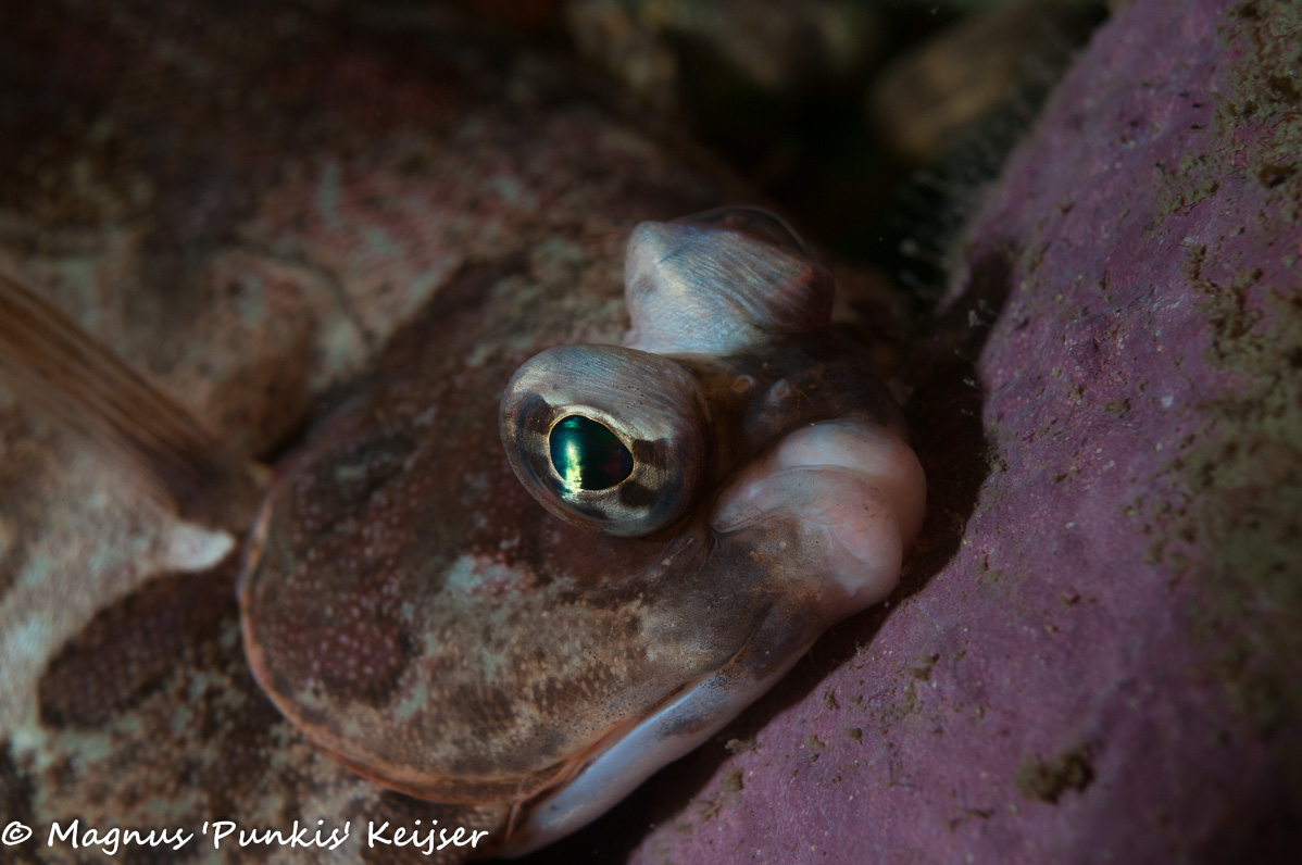 19 april 2019