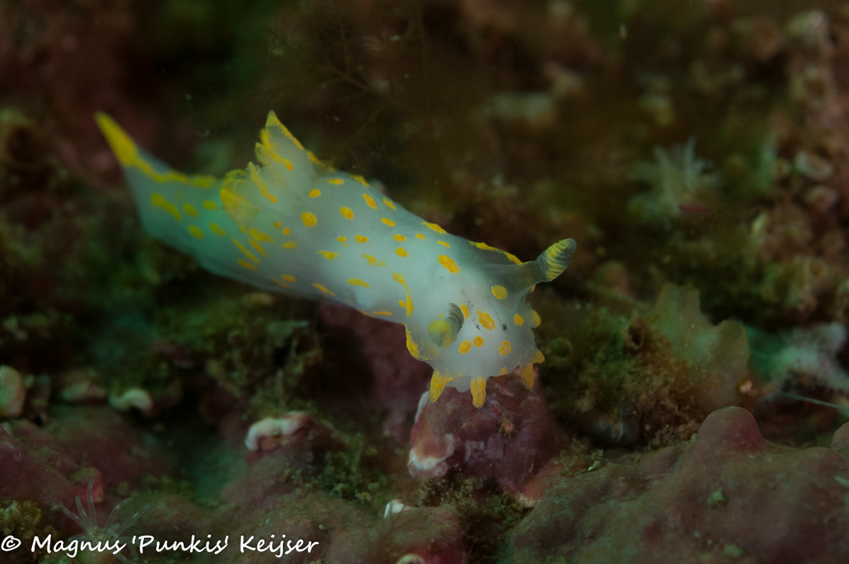 20 april 2019